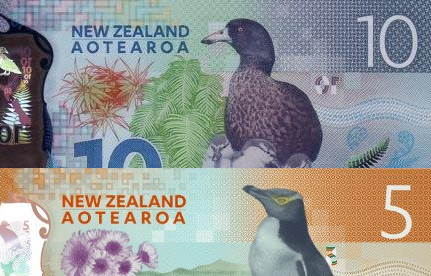 Extra Cash Back Rewards